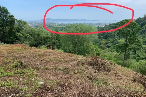 Земельный участок в Пхукете, Таиланд 5672м2  № 167677 - фото 5