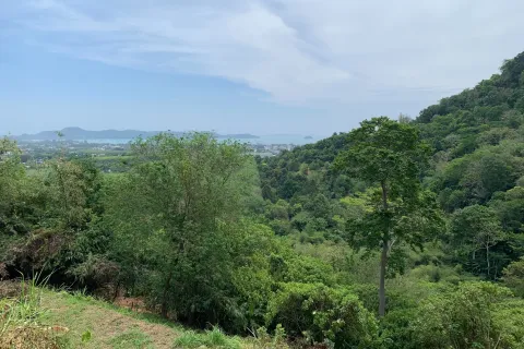 Land in Phuket, Thailand 5672 sq.m. № 167677