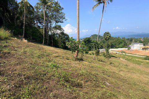 Земельный участок в Самуи, Таиланд 1154м2  № 167676 - фото 5