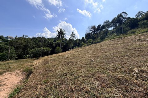 Земельный участок в Самуи, Таиланд 1154м2  № 167676 - фото 9