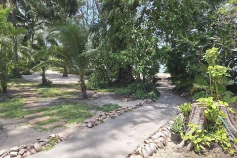 Hôtel à Surat Thani, Thaïlande № 134592 - photo 10