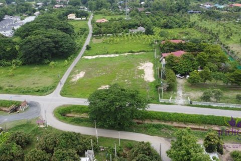 Земельный участок в Чиангмае, Таиланд  № 162562 - фото 4