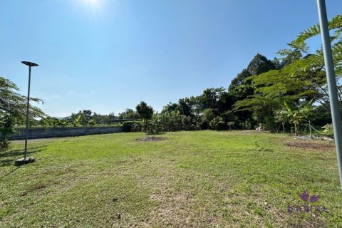 Земельный участок в Чиангмае, Таиланд  № 162561 - фото 5