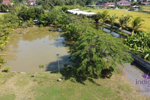 Земельный участок в Чиангмае, Таиланд  № 162561 - фото 3