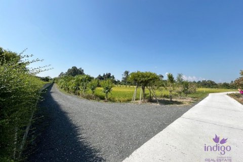 Земельный участок в Чиангмае, Таиланд  № 162561 - фото 22