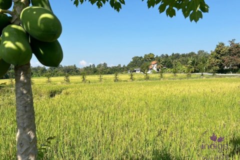 Земельный участок в Чиангмае, Таиланд  № 162561 - фото 14