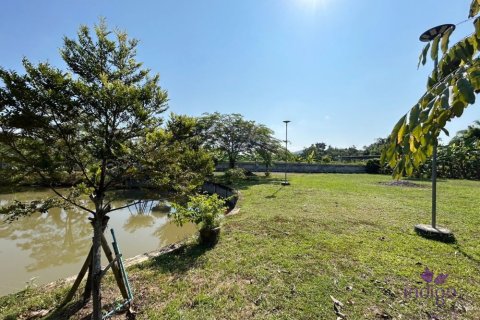 Земельный участок в Чиангмае, Таиланд  № 162561 - фото 9