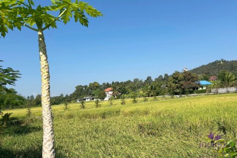 Земельный участок в Чиангмае, Таиланд  № 162561 - фото 16