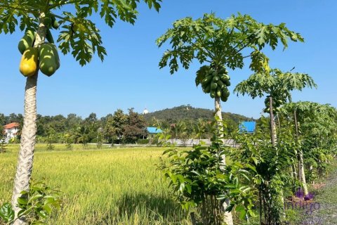 Земельный участок в Чиангмае, Таиланд  № 162561 - фото 15