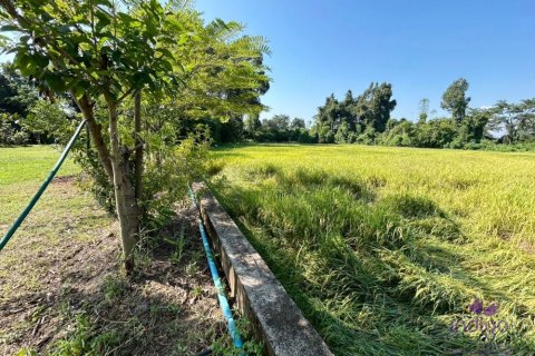 Земельный участок в Чиангмае, Таиланд  № 162561 - фото 8