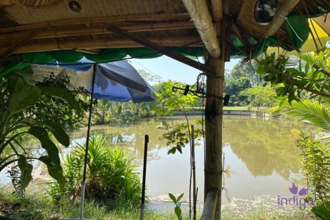 Земельный участок в Чиангмае, Таиланд  № 162561 - фото 12