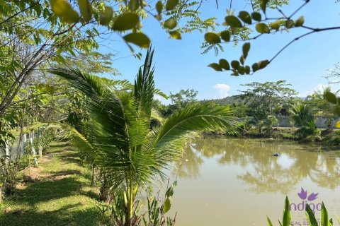 Земельный участок в Чиангмае, Таиланд  № 162561 - фото 6