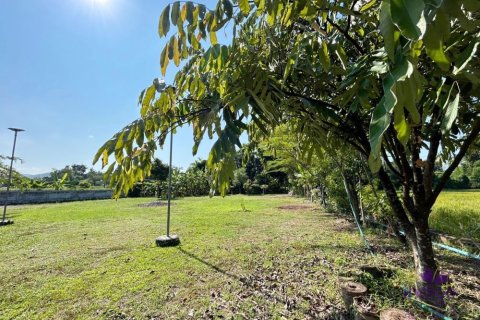 Земельный участок в Чиангмае, Таиланд  № 162561 - фото 10