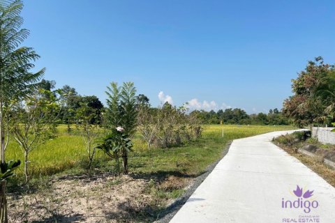 Земельный участок в Чиангмае, Таиланд  № 162561 - фото 23