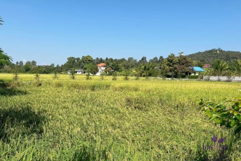 Земельный участок в Чиангмае, Таиланд  № 162561 - фото 17