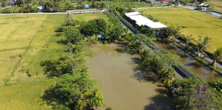 Земельный участок в Чиангмае, Таиланд  № 162561