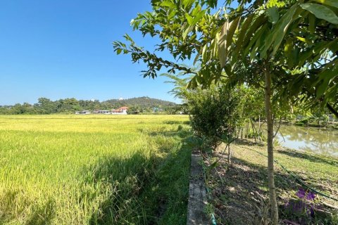 Земельный участок в Чиангмае, Таиланд  № 162561 - фото 7