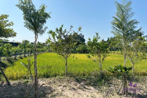 Земельный участок в Чиангмае, Таиланд  № 162561 - фото 13