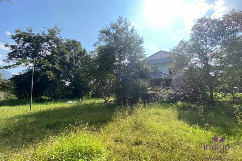 Земельный участок в Чиангмае, Таиланд  № 162564 - фото 6