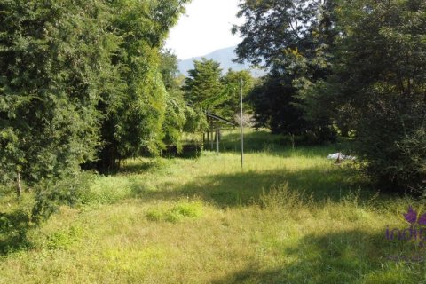 Земельный участок в Чиангмае, Таиланд  № 162564 - фото 5