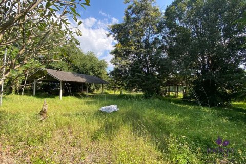 Земельный участок в Чиангмае, Таиланд  № 162564 - фото 7