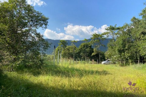 Земельный участок в Чиангмае, Таиланд  № 162564 - фото 8