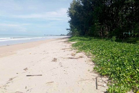 Земельный участок в Пхангнге, Таиланд 38948м2  № 151527 - фото 6