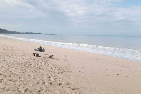 Земельный участок в Пхангнге, Таиланд 38948м2  № 151527 - фото 4