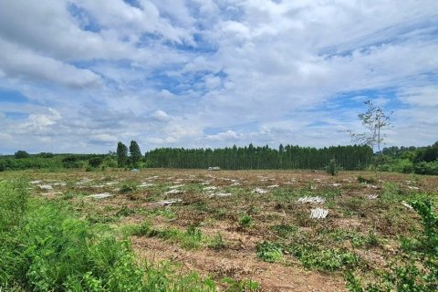 Land in Pattaya, Thailand 68800 sq.m. № 151526 - photo 4