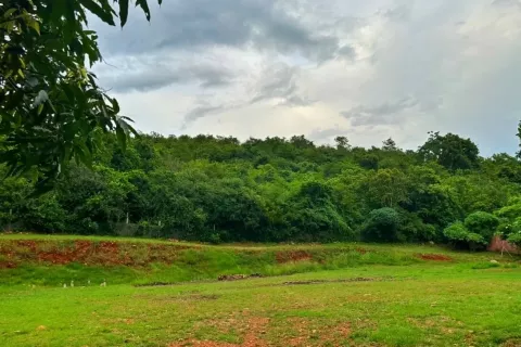 Terrain à Hua Hin, Thaïlande 2732 m2 № 141858 - photo 3