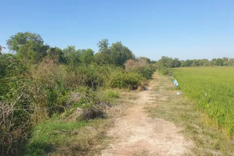 Land in Chachoengsao, Thailand 38400 sq.m. № 149070 - photo 3