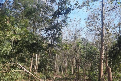 Земельный участок в Чианграе, Таиланд  № 134706 - фото 2