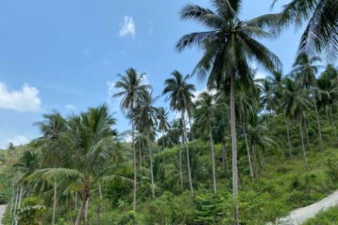 Land in Ko Samui, Thailand 1604 sq.m. № 180214 - photo 3