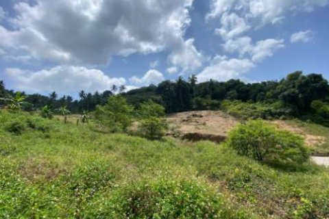 Land in Ko Samui, Thailand 1604 sq.m. № 180214 - photo 7