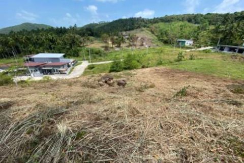 Land in Ko Samui, Thailand 1604 sq.m. № 180214 - photo 2