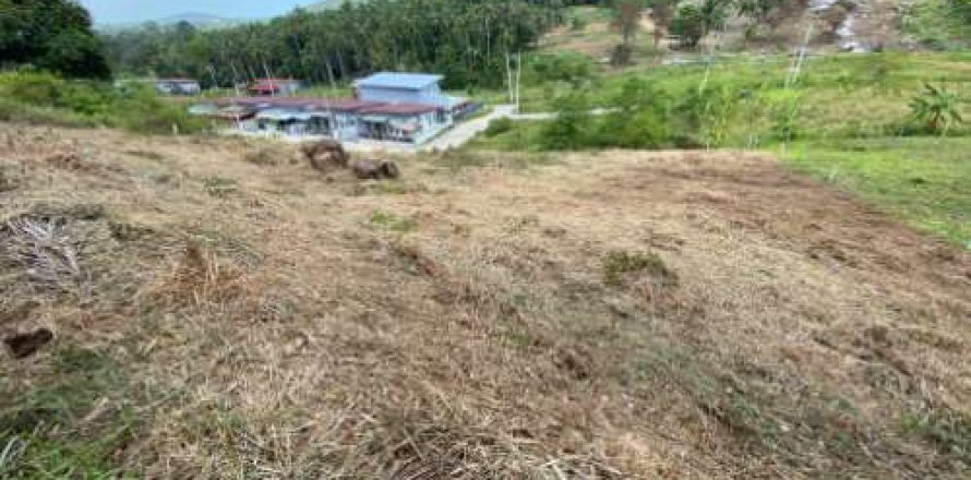 Land in Ko Samui, Thailand 1604 sq.m. № 180214