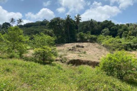 Land in Ko Samui, Thailand 1604 sq.m. № 180214 - photo 6