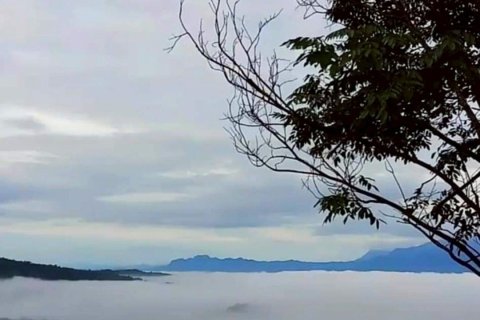 House in Phetchabun, Thailand 2 bedrooms № 154033 - photo 7