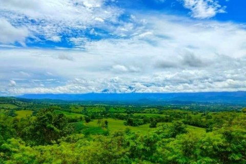 House in Phetchabun, Thailand 2 bedrooms № 154033 - photo 11