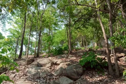 House in Phetchabun, Thailand 2 bedrooms № 154033 - photo 2