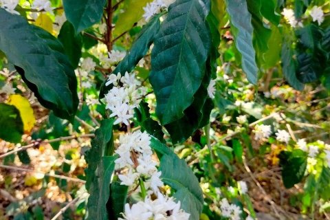 House in Phetchabun, Thailand 2 bedrooms № 154033 - photo 8