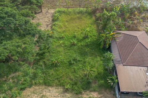 Land in Chiang Mai, Thailand № 156298 - photo 3