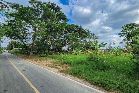 Land in Chiang Mai, Thailand № 156298 - photo 7