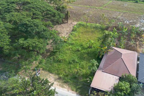 Terrain à Chiang Mai, Thaïlande № 156298 - photo 5