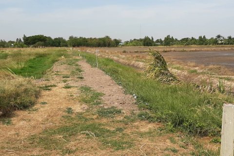 Land in Chachoengsao, Thailand 12800 sq.m. № 159272 - photo 7