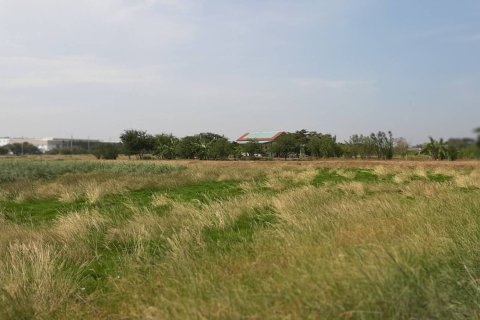 Land in Chachoengsao, Thailand 12800 sq.m. № 159272 - photo 5