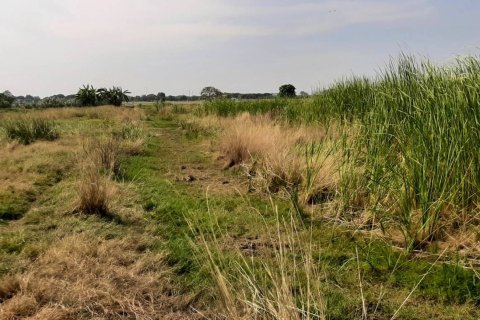 Land in Chachoengsao, Thailand 12800 sq.m. № 159272 - photo 6