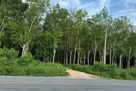 Land in Rayong, Thailand 76800 sq.m. № 159271 - photo 3