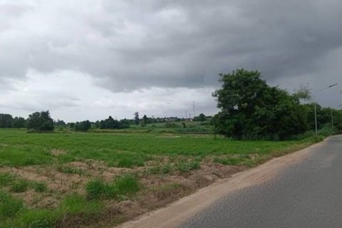 Земельный участок в Районге, Таиланд 104000м2 № 159270 - фото 3