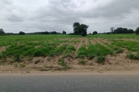 Земельный участок в Районге, Таиланд 104000м2 № 159270 - фото 5